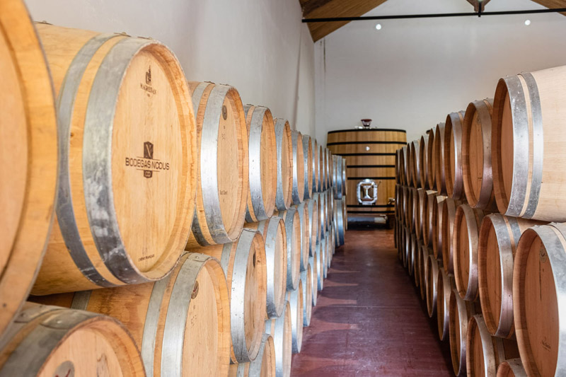 frech oak barrels
