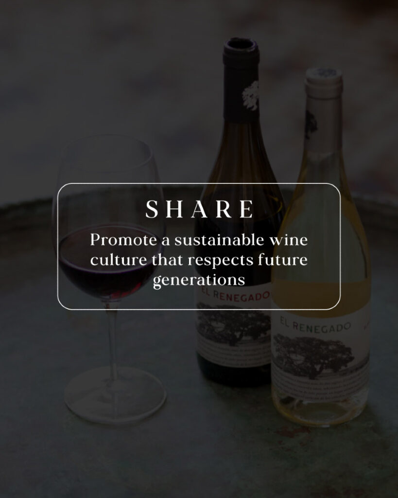 wine moderation