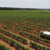 the tractor of the future